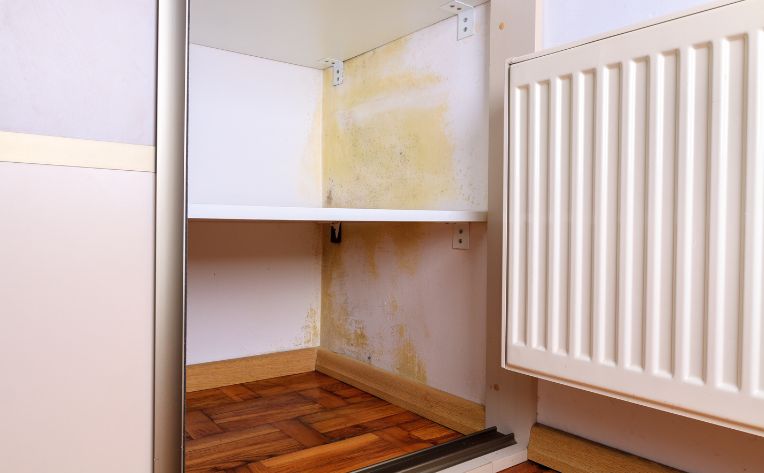 signs of wear & tear